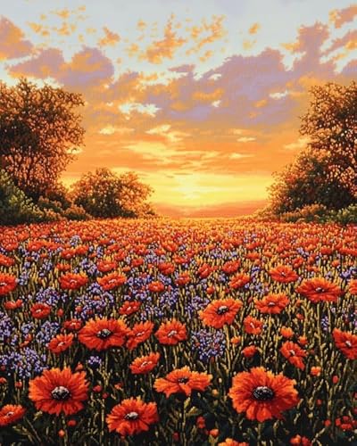 AxiangziK Sonnenuntergang DIY Stickerei Set Erwachsene Anfänger Kinder,Blumenmeerlandschaft,stickbilder cross stitch set,Kreuzstich Stickpackungen,40x50cm von AxiangziK