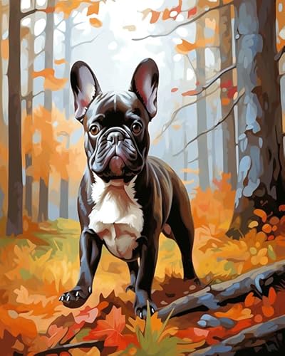 AxiangziK Stickerei-Set Kreuzstich 11CT Französische Bulldogge im Herbstwald,DIY Stickerei Set Erwachsene Anfänger Kinder,Cross Stitch Kit,16x20in von AxiangziK