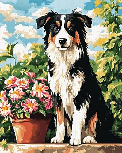 AxiangziK Tierhund DIY Kreuzstichset 11CT,Border-Collie-Blumentopf,stickerei set anfänger mit kreuzstich,stickbilder vorgedruckt kreuzstich,40x50cm von AxiangziK