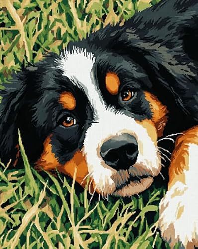 AxiangziK Tierhund DIY Kreuzstichset 11CT,Wiesenlandschaft des Berner Sennenhundes,stickerei set anfänger mit kreuzstich,stickbilder vorgedruckt kreuzstich,40x50cm von AxiangziK