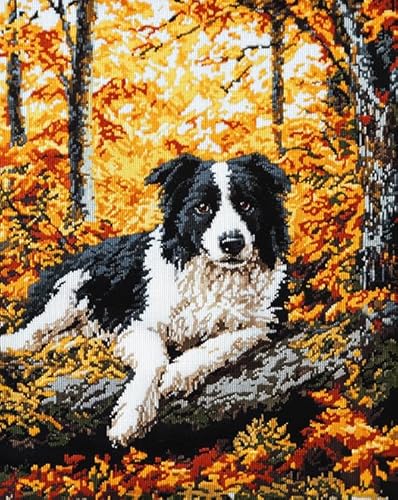 AxiangziK Tierhund DIY Stickerei Set Erwachsene Anfänger Kinder 11CT,Border-Collie-Waldlandschaft,stickbilder cross stitch set,Kreuzstich Stickpackungen,40x50cm von AxiangziK