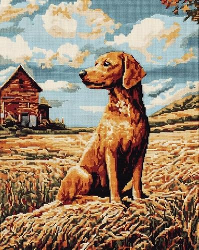 AxiangziK Tierhund DIY Stickerei Set Erwachsene Anfänger Kinder 11CT,Dackelfarmlandschaft,stickbilder cross stitch set,Kreuzstich Stickpackungen,40x50cm von AxiangziK