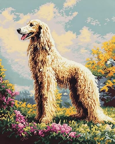 AxiangziK Tierhund DIY Vorgedruckt Stickbilder Stickset 11CT,Afghanische Windhundgraslandschaft,Kreuzstich Stickpackung,Handwerk Home Decor Starter-Set für Wandkunst,40x50cm von AxiangziK