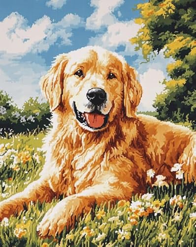 AxiangziK Tierhund DIY Vorgedruckt Stickbilder Stickset 11CT,Golden Retriever Hundegraslandschaft,Kreuzstich Stickpackung,Handwerk Home Decor Starter-Set für Wandkunst,40x50cm von AxiangziK