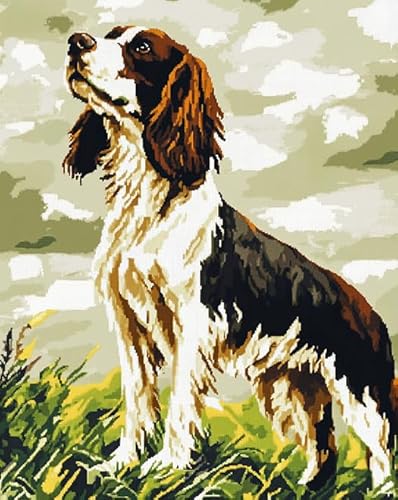 AxiangziK Tierhund DIY Vorgedruckt Stickbilder Stickset 11CT,Springer Spaniel Wiese,Kreuzstich Stickpackung,Handwerk Home Decor Starter-Set für Wandkunst,40x50cm von AxiangziK