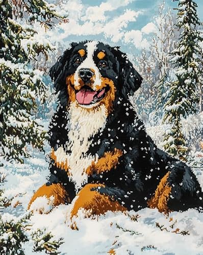 AxiangziK Tierhund Erwachsene Stickerei Kreuzstich 11CT,Berner Sennenhund Waldschneeszene,Vorgedruckte Leinwand Kreuzstich Set AnfäNger Stickbilder,für Wandkunst-Heimdekoration,40x50cm von AxiangziK