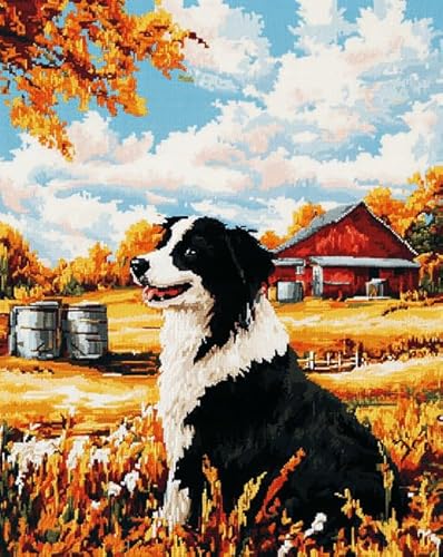 AxiangziK Tierhund Erwachsene Stickerei Kreuzstich 11CT,Border-Collie-Farmlandschaft,Vorgedruckte Leinwand Kreuzstich Set AnfäNger Stickbilder,für Wandkunst-Heimdekoration,40x50cm von AxiangziK