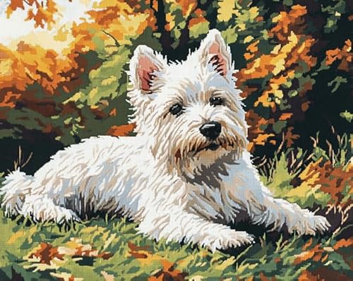 AxiangziK Tierhund Erwachsene Stickerei Kreuzstich 11CT,West High White Ground Terrier,Vorgedruckte Leinwand Kreuzstich Set AnfäNger Stickbilder,für Wandkunst-Heimdekoration,40x50cm von AxiangziK