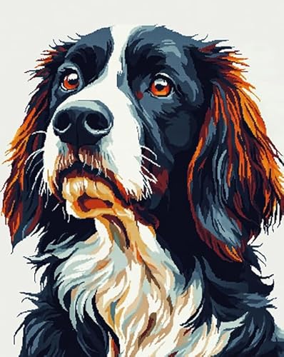 AxiangziK Tierhund Gedruckte Stickerei für Anfänger 11CT,Springer Spaniel,Kreuzstich-Set,Kreuzstich-Stickset,fortgeschrittenes Stickmuster,Kunsthandwerk,40x50cm von AxiangziK