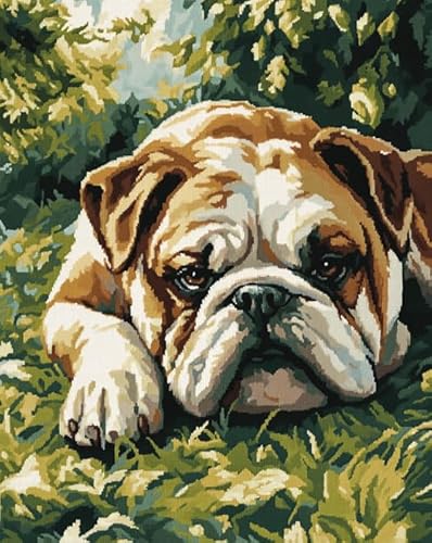 AxiangziK Tierhund Kreuzstich-Set für Anfänger 11CT,Bulldoggenwiese,komplettes Sortiment an Stickerei-Starter-Sets für Erwachsene,DIY-Nadelspitzen-Set,40x50cm von AxiangziK