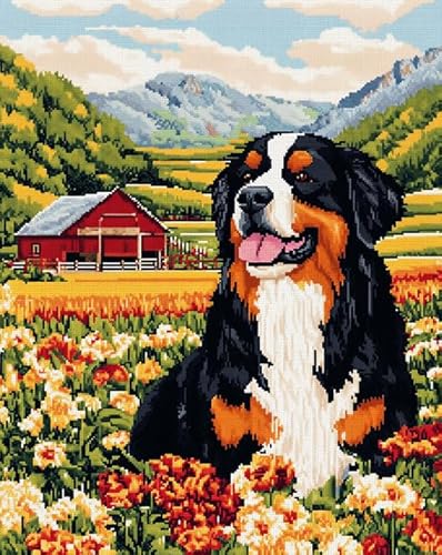 AxiangziK Tierhund Kreuzstich Stickpackungen Vorgedruckt 11CT,Bauernhoflandschaft des Berner Sennenhundes,Stickbilder Kreuzstich Stickpackung Sticken Set für Erwachsene Anfänger,40x50cm von AxiangziK