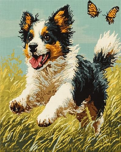 AxiangziK Tierhund Kreuzstich Stickpackungen Vorgedruckt 11CT,Border-Collie-Schmetterling,Stickbilder Kreuzstich Stickpackung Sticken Set für Erwachsene Anfänger,40x50cm von AxiangziK