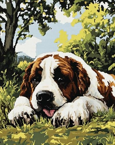 AxiangziK Tierhund Kreuzstich Stickpackungen Vorgedruckt 11CT,St. Bernard Hound Wiese,Stickbilder Kreuzstich Stickpackung Sticken Set für Erwachsene Anfänger,40x50cm von AxiangziK