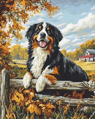 AxiangziK Tierhund Kreuzstich set Erwachsene 11CT,Bauernhoflandschaft des Berner Sennenhundes,DIY Vorgedruckt Stickbilder Stickset Handwerk Starter-Set für Wandkunst-Heimdekoration,40x50cm von AxiangziK