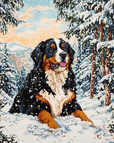 AxiangziK Tierhund Vorgedruckt Kreuzstich Stickpackungen 11CT,Berner Sennenhund Waldschneeszene,Sticken Set Cross Stitch Kit,DIY Stickerei Set Erwachsene Anfänger,40x50cm von AxiangziK