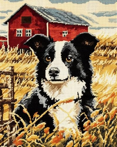 AxiangziK Tierhund Vorgedrucktes Kreuzstich-Set für Erwachsene und Anfänger 11CT,Border-Collie-Farmlandschaft,DIY Stickbilder für Wandkunst-Heimdekoration,40x50cm von AxiangziK