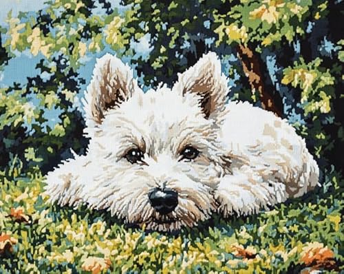 AxiangziK Tierhund Vorgedrucktes Kreuzstich-Set für Erwachsene und Anfänger 11CT,West High White Ground Terrier,DIY Stickbilder für Wandkunst-Heimdekoration,40x50cm von AxiangziK