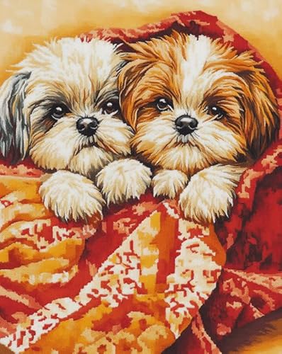 AxiangziK Tierhund Vorgedrucktes Kreuzstich-Set für Erwachsene und Anfänger 11CT,Zwei süße Shih Tzu-Hunde,DIY Stickbilder für Wandkunst-Heimdekoration,40x50cm von AxiangziK