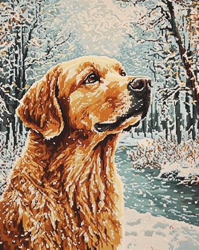 AxiangziK Tierhund stickbilder vorgedruckt kreuzstich 11CT,Golden Retriever Waldschneeszene,kreuzstich stickpackungen DIY Kreuzstichset als Geschenk,40x50cm von AxiangziK