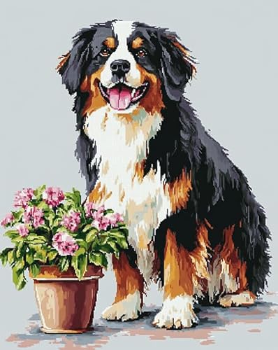 AxiangziK Tierhund stickerei set anfänger mit kreuzstich 11CT,Blumentopf für Berner Sennenhund,DIY Kreuzstichset Stickvorlagen Stickbilder stickerei set erwachsene,40x50cm von AxiangziK