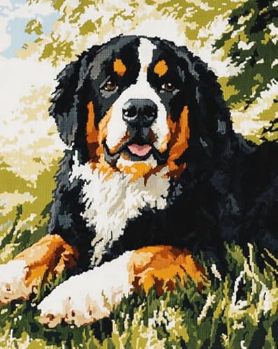 AxiangziK Tierhund stickerei set anfänger mit kreuzstich 11CT,Wiesenlandschaft des Berner Sennenhundes,DIY Kreuzstichset Stickvorlagen Stickbilder stickerei set erwachsene,40x50cm von AxiangziK