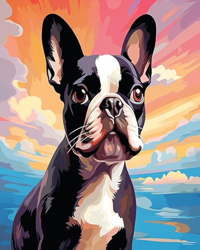 AxiangziK Vorgedruckt Kreuzstich Stickpackungen Bunte Tiere Boston Terrier Hund,Sticken Set Cross Stitch Kit,DIY Stickerei Set Erwachsene Anfänger 11CT,16x20in von AxiangziK