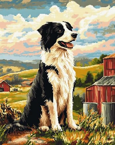 Tierhund Kreuzstich Stickpackung 11CT,Border-Collie-Farmlandschaft,Sticken Set Erwachsene Kreuzstich,DIY Stickbilder Vorgedruckt Kreuzstich für Anfänger Home Decor,40x50cm von AxiangziK