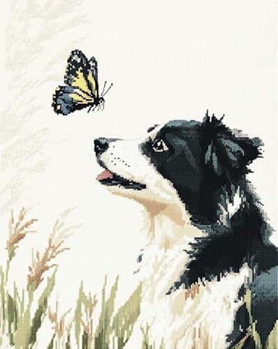 Tierhund Sticken Set Erwachsene Kreuzstich 11CT,Border-Collie-Schmetterling,Kreuzstich Stickpackung,DIY Stickbilder Vorgedruckt Kreuzstich für Anfänger Home Decor,40x50cm von AxiangziK