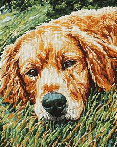 Tierhund Sticken Set Erwachsene Kreuzstich 11CT,Golden Retriever Hundegraslandschaft,Kreuzstich Stickpackung,DIY Stickbilder Vorgedruckt Kreuzstich für Anfänger Home Decor,40x50cm von AxiangziK