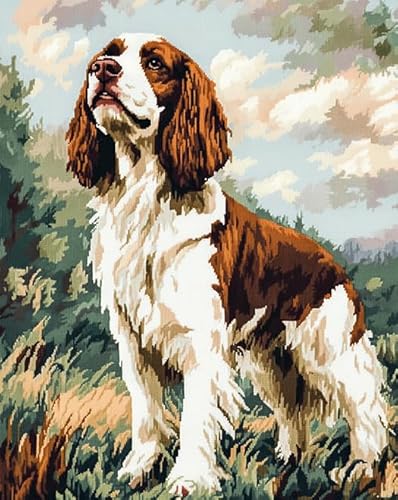 Tierhund Sticken Set Erwachsene Kreuzstich 11CT,Springer Spaniel Wiese,Kreuzstich Stickpackung,DIY Stickbilder Vorgedruckt Kreuzstich für Anfänger Home Decor,40x50cm von AxiangziK