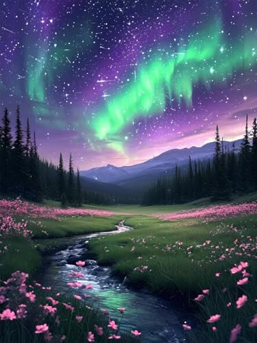 5D Diamond Painting Landschaft für Erwachsene groß, Diamant Painting Bilder Aurora, Vollbohrer Diamant Malerei DIY Strass Stickerei Kreuzstich Diamond Art Bastelset, Deko Wohnzimmer 70x90cm T-1 von Aynaeinn