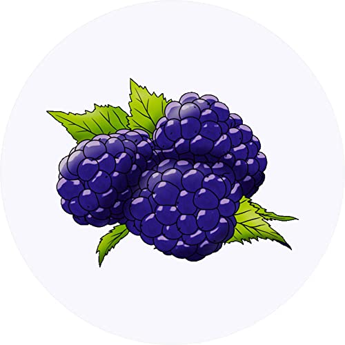 24 x 40mm 'Brombeeren' Aufklebern/Stickers (SK00047634) von Azeeda