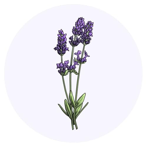 24 x 40mm 'Lavendel' Aufklebern/Stickers (SK00044016) von Azeeda