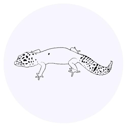 24 x 40mm 'Leopardgecko' Aufklebern/Stickers (SK00009306) von Azeeda