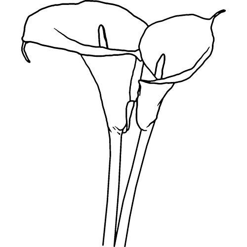 Azeeda A7 'Calla-Lilien' Stempel (Unmontiert) (RS00038790) von Azeeda