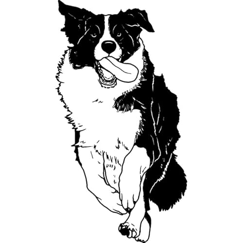 Azeeda A8 'Laufender Border-Collie' Stempel (Unmontiert) (RS00043269) von Azeeda