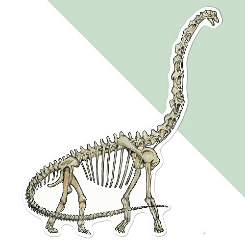 Große 210mm 'Brachiosaurus-Skelett' Permanente Aufkleber (DW00087534) von Azeeda