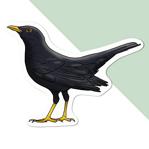 Mittel 100mm 'Amsel' Permanente Aufkleber (DW00069046) von Azeeda