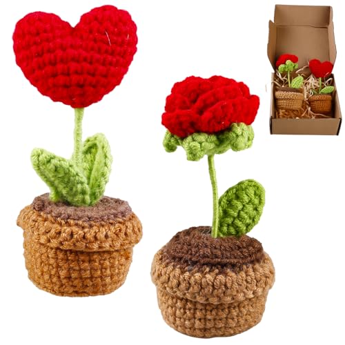 BAIFULAI Geschenke für Frauen Gehäkelte Blumen, HäKelblumen, Künstliche Topfblumen für Familien, Kinder, Freunden Handgemachte Gestrickte Rosen Kunstpflanze Wohnzimmer Büro Auto Deko von BAIFULAI