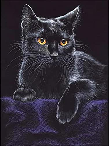 5D Diamant Painting Bilder Groß, Schwarze Katze DIY Diamond Painting Set Strass Stickerei Diamant Malerei Kunsthandwerk Voller Diamant Kreuzstich Mosaik Gemälde Wall Dekor (Square drill)30x40cm von BAMZOK