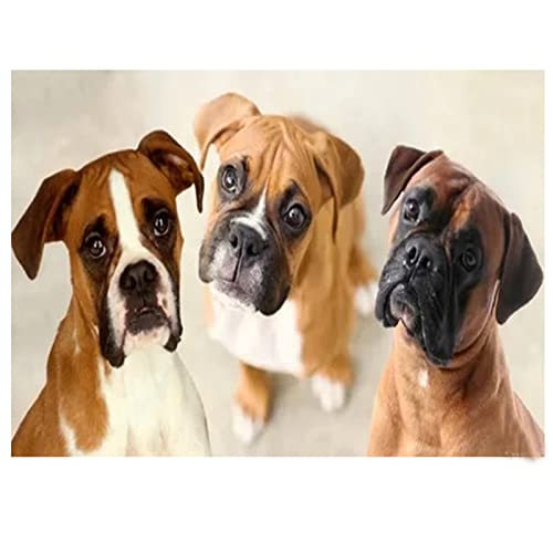 DIY 5D Diamant Malerei Vollbohrer Kit,Boxer-Familien-Haustier-Hund 5D Diamond Painting Set,Malen nach Zahlen Diamant,Diamond Painting Bilder für Erwachsene Kinder,Handarbeit Basteln Wand Decor 40x50cm von BAMZOK