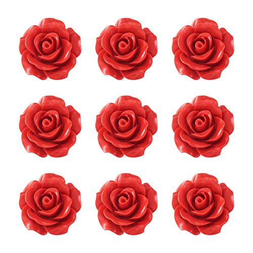 Beadthoven 50 Stück rote Rose Cinnabar Perlen Detail geschnitzte Blume Spacer Perlen 20 mm Rosenblüten Link Charms Perlen für Valentinstag Schmuckherstellung Hochzeit Verzierung Handwerk Loch: 2 mm von BB Beadthoven