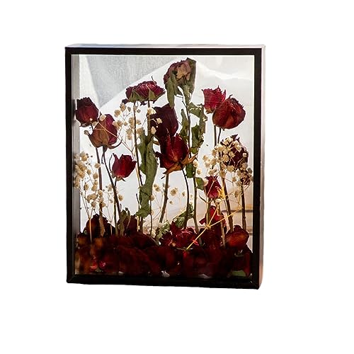 BBTISG Shadow Bilderrahmen Holz Getrocknete Blumen Doppelseitig Glas Schattenbox Bilderrahmen für Getrocknete Blumen, Exemplare, Kunsthandwerk (6 Zoll) von BBTISG