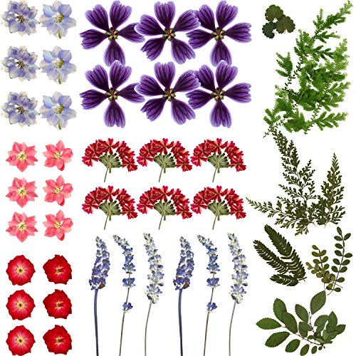 BBTO Echte Getrocknete Blumen Gepresste Blumen Natürliche Getrocknete Blumen Bunt Blumen Selber Machen Set Für Epoxidharz Handgefertigt Basteln Nagel Anhänger Schmuck Dekorationen von BBTO