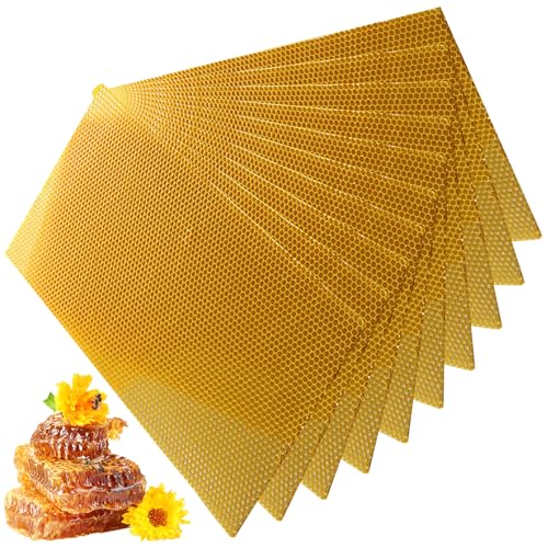 BEAHING Bienenwachsblätter 10pcs 16,5x7.7in natürliches Wachs für Bienenrahmen gelbe Bienenwachs für Kerzenherstellung, Bienenstockrahmen Imkereien, Bienenwachsblätter von BEAHING