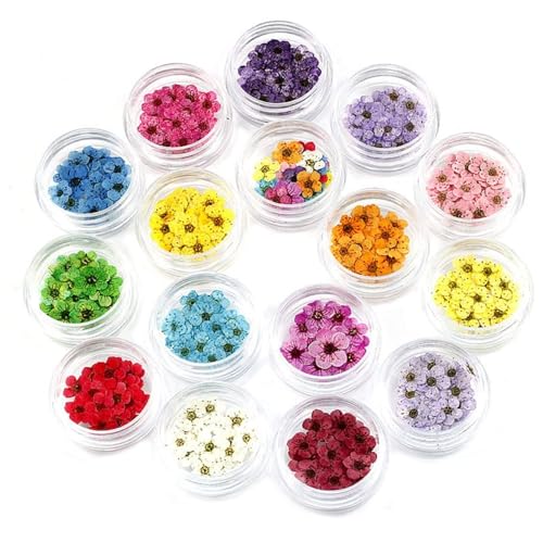 BEAHING Getrocknete Blüten Nagelkunstscheiben Mini Natural Blumen Sternformen Nagelaufkleber Harzzubehör für Nageldekoration DIY Craft 16pcs Nagelkunstscheiben von BEAHING