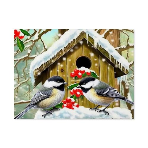 BEAYODKP DIY Malen nach Zahlen-Ölgemälde Geschenk für Erwachsene Kinder，Vogelnest Winter, Tier，Malen Nach Zahlen Kits Wohnzimmer Schlafzimmer Wanddekoration（50x60cm） 19.6x23.6 pouces-C25 von BEAYODKP