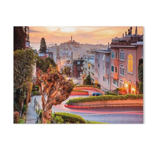 BEAYODKP Die Serpentinen der Lombard Street in San Francisco,Malen nach Zahlen Set für Erwachsene Kinder Anfänger selber auf Leinwand malen nach Zahlen zur Heimdekoration（50x60cm） 19.6x23.6 Zoll-600 von BEAYODKP