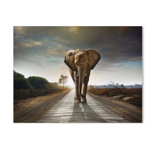 BEAYODKP Elefant auf Einer Straße,Malen Nach Zahlen-Ölgemälde Geschenk Für Erwachsene Kinder Malen Nach Zahlen Kits Home Haus Dekor（50x60cm） 19.6x23.6 Zoll-337 von BEAYODKP