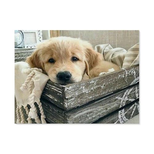 BEAYODKP Golden Retriever Tiere，Malen Nach Zahlen-Ölgemälde Geschenk Für Erwachsene Kinder Malen Nach Zahlen Kits Home Haus Dekor（50x60cm） 19.6x23.6 pouces-C17 von BEAYODKP